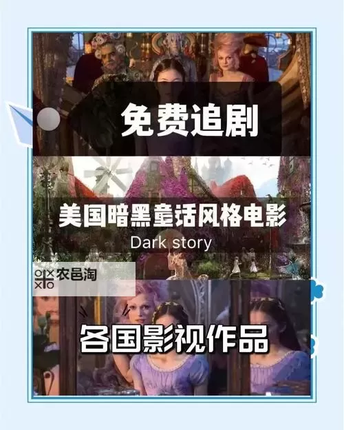 探索精彩影视资源:806o电影网全新影视体验图1