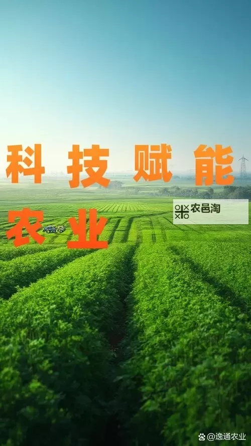 提升农业效率:优质RB灌溉系统唐宁的创新应用图1