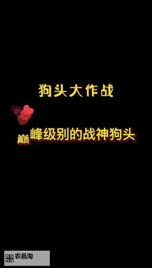 武器能不能打过狗头:战术分析与实际应用探讨图1