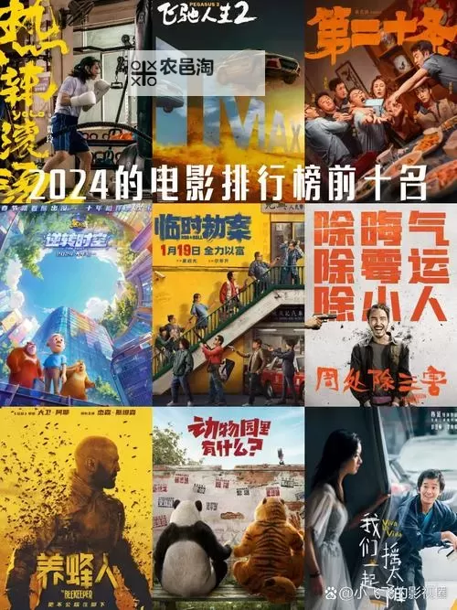 有木有好看的电影推荐?2024年必看的精彩影片盘点图1