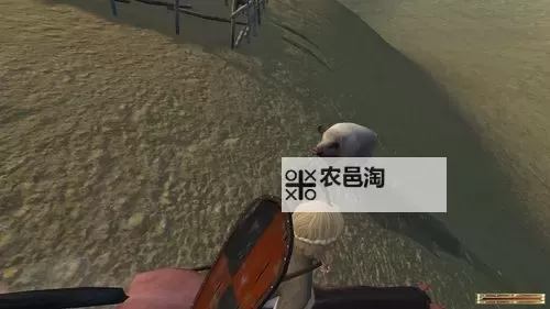 骑砍订婚舞会Win10:全新体验与互动指南图1