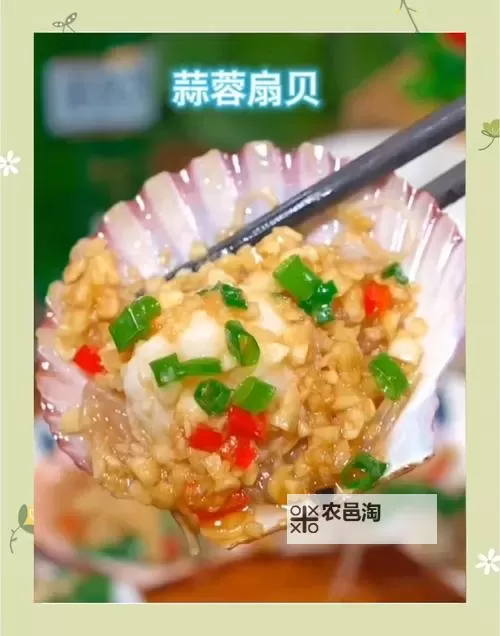 再把腿X开一点就可以吃扇贝:独家揭秘扇贝的食用技巧图2