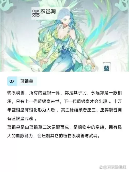 斗罗四部曲最强武魂排名:全面解析最强武魂榜单图2