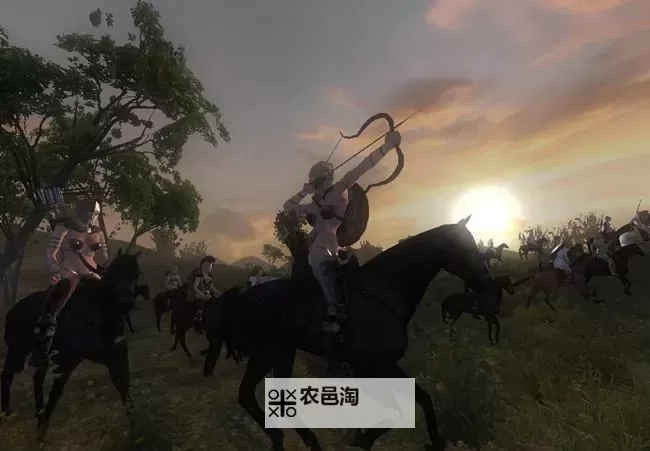 骑砍订婚舞会Win10:全新体验与互动指南图2