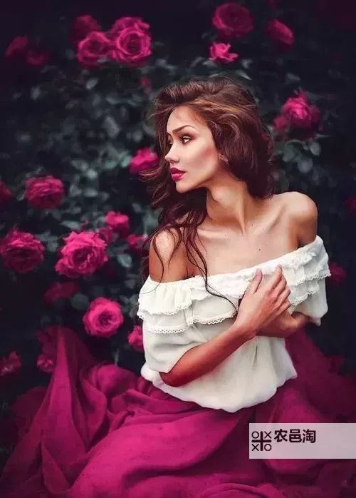 探索视觉盛宴:GOGO全球高清大尺度摄影艺术的极致魅力图1