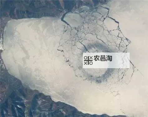 南极时空之门事件是真的吗?背后隐藏的真相与谜团图1