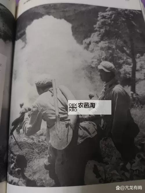 战地234为什么被禁止:背后的原因与争议分析图1