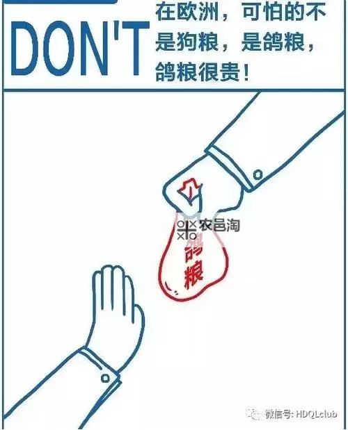 探索欧洲一区无码:最新破解资讯与安全指南图1