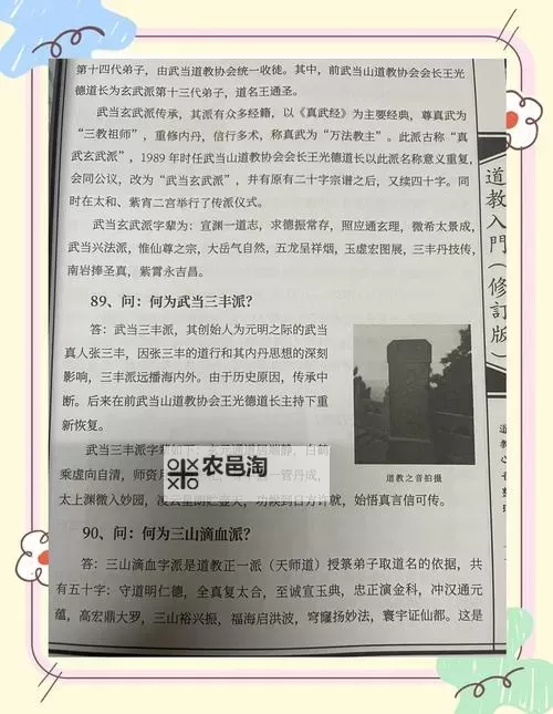 武当人物介绍:武当派传人的风采与故事图1