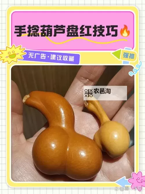 如何获取宣花红葫芦绝版:珍稀宝物的获取方式详解图2