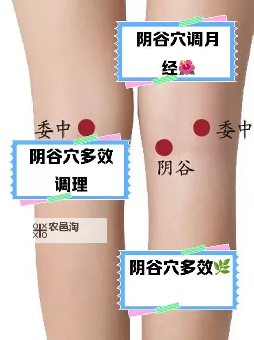 九阴真经恶人谷怎么去攻略指南图2