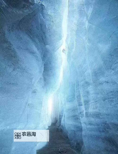 揭秘时空之门任务怎么开:详细攻略与步骤指南图2