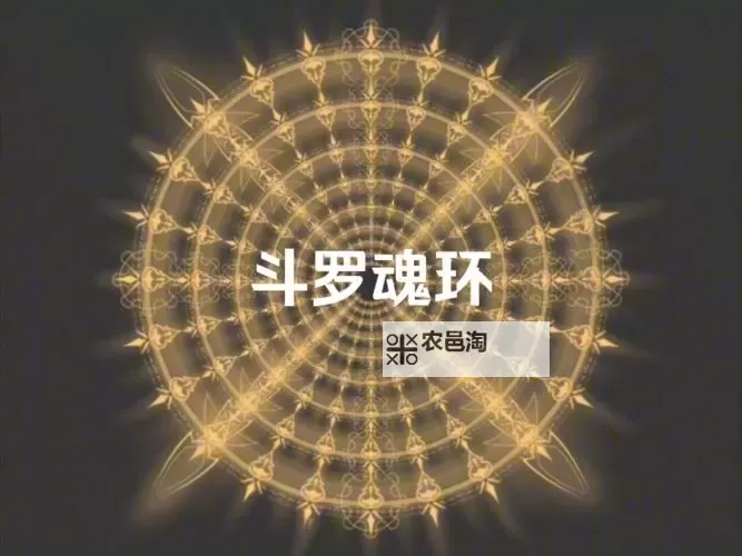 唐三18个魂环介绍:全面解析《斗罗大陆》的核心魂环系统图2