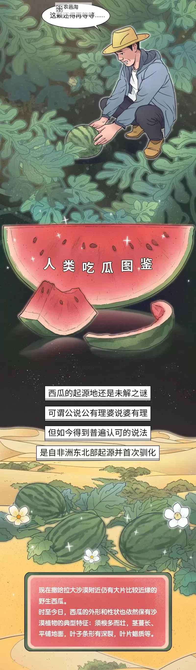 探索娱乐世界的秘密:永久吃瓜CGW.COM带你一探究竟图2