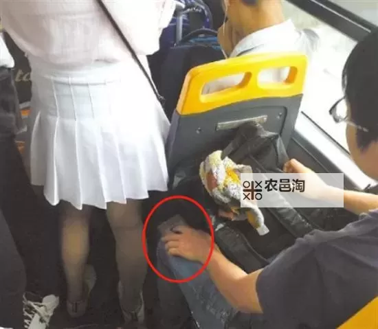 女生裙子底下的秘密网站在线观看:揭秘隐秘角落的独特视角图1