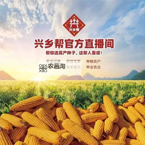 三农VR直播:开创农村振兴新视界图1