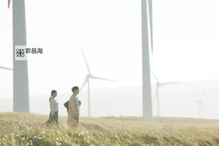 再见阿郎第三部:归途与新篇章的启示图1