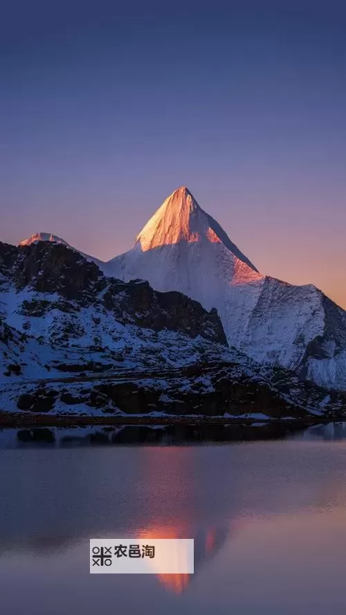 探索多样玩法:变态另类在线精彩体验指南图2