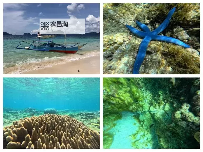 爱情岛论坛免费观看线路三:完整攻略与最新免费入口介绍图1