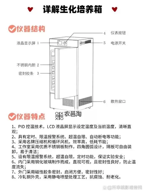《生化危机5储存箱详解:位置、获取与实用攻略》图1