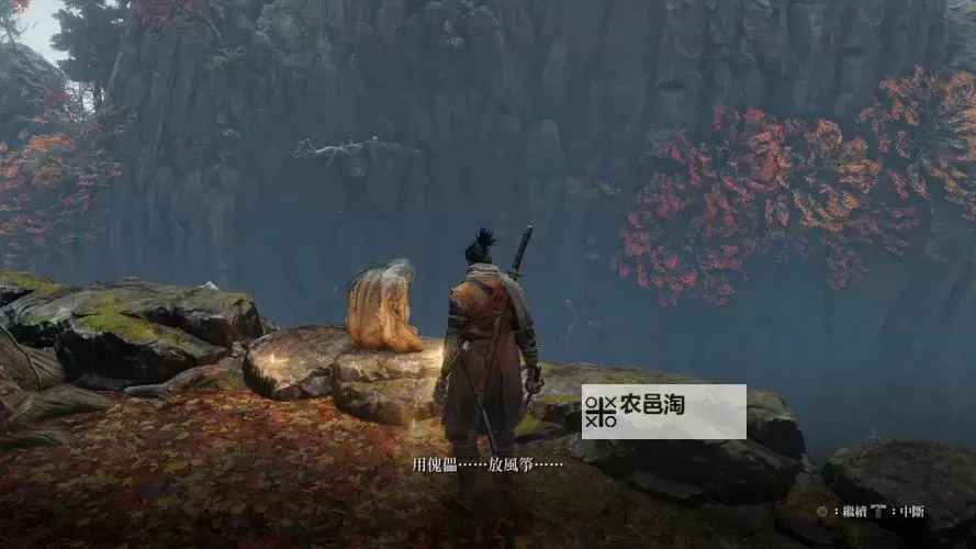 只狼干柿子和鲜柿子给谁吃的最佳选择指南图1