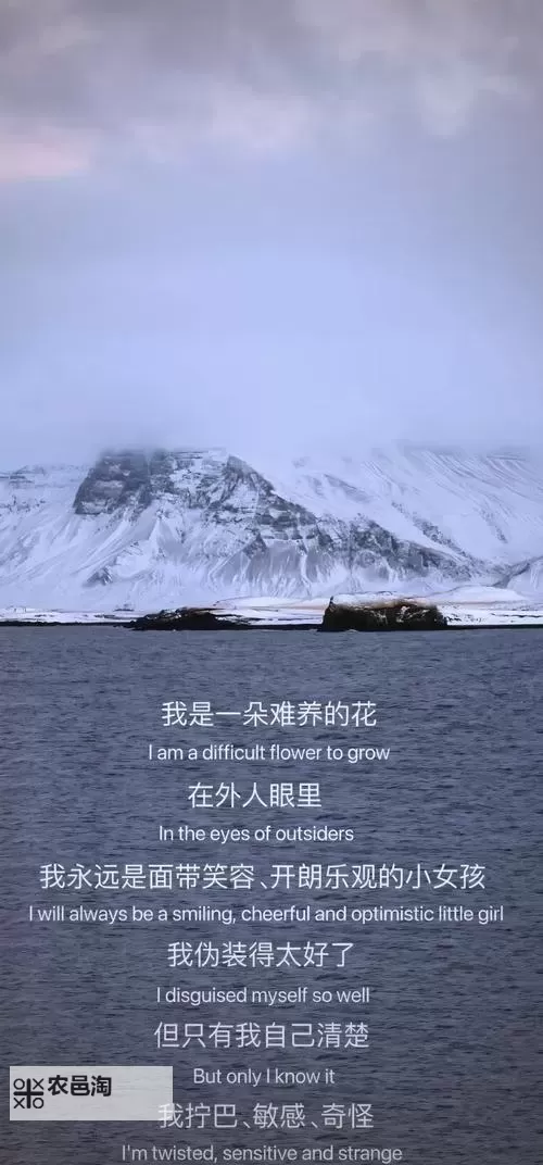 有一种爱情低到尘埃,犹如尘埃般无声的守望图1