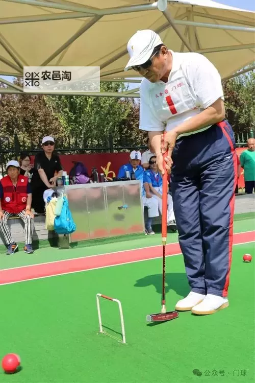 掌握门球闪击技巧与姿势的全面指南图1