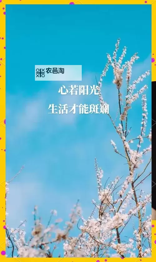 探索更多积极向上的资源:正能量免费网站WWW正能量免费平台推荐图1