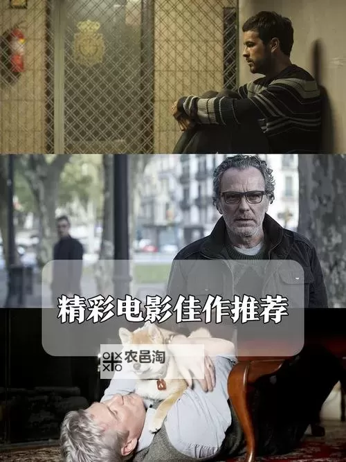 探索最新67194电影福利:尽享精彩影片盛宴图1