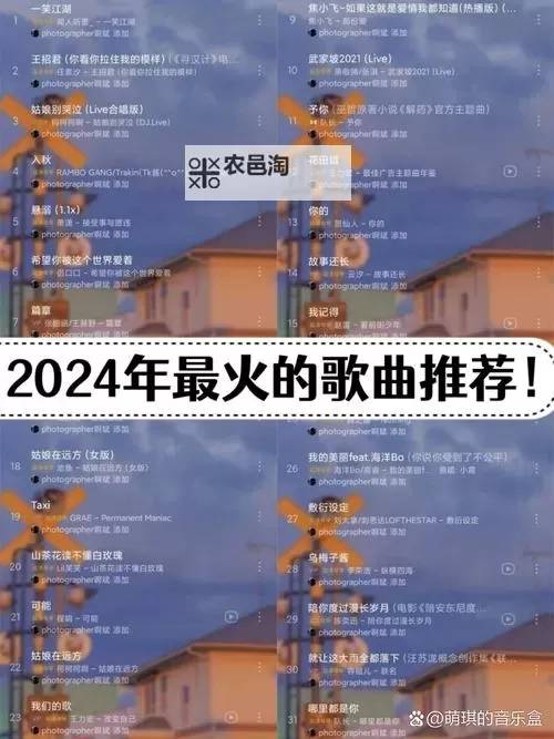 2018年最好看的中文作品盘点:2024年的经典回顾图2