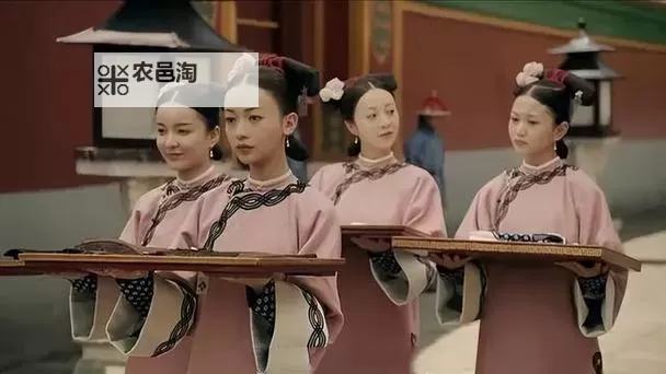 御前宫女有孕:皇宫秘事曝光图2