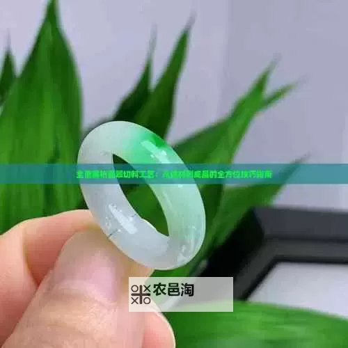 全面解析:夜1ゲーム攻略全方位指南图1