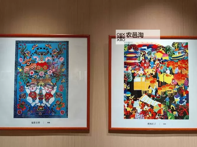 四房五色人人操播:多彩生活的精彩呈现图1