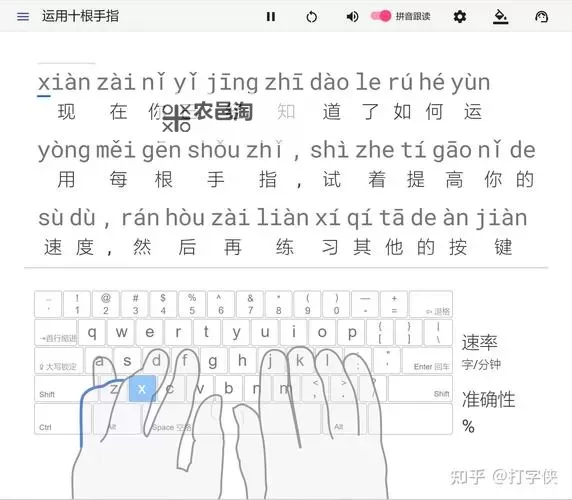 浓缩的纯洁之核拼音怎么打:详细拼音输入指南图2