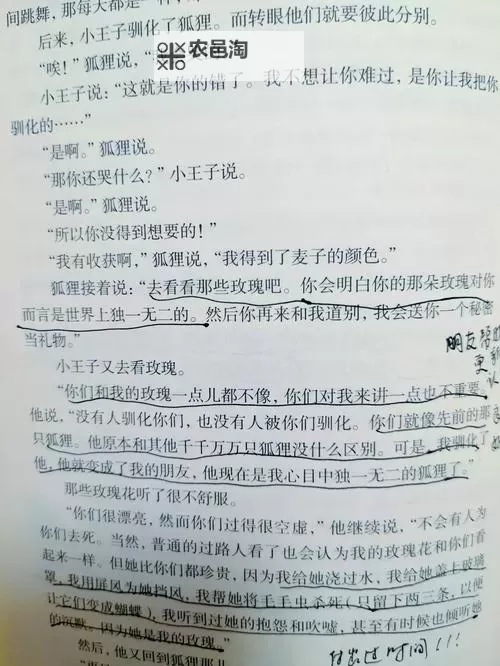 吃瓜在线:揭秘真实的小王子幕后故事图1