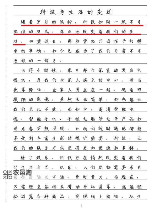 赵美娜与老周的感人故事:友情与梦想的交织图1