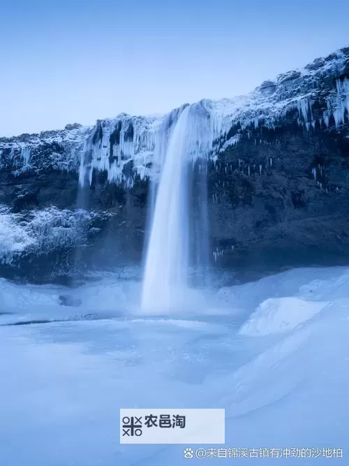 都市之虐杀原形为什么被叫做邪书:揭秘背后隐藏的故事与争议图1