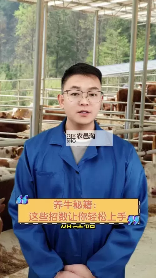 骑砍怎么养牛攻略:打造高效养牛技能指南图1