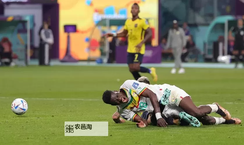 厄瓜多尔击败塞内加尔:一场精彩纷呈的足球对决图1