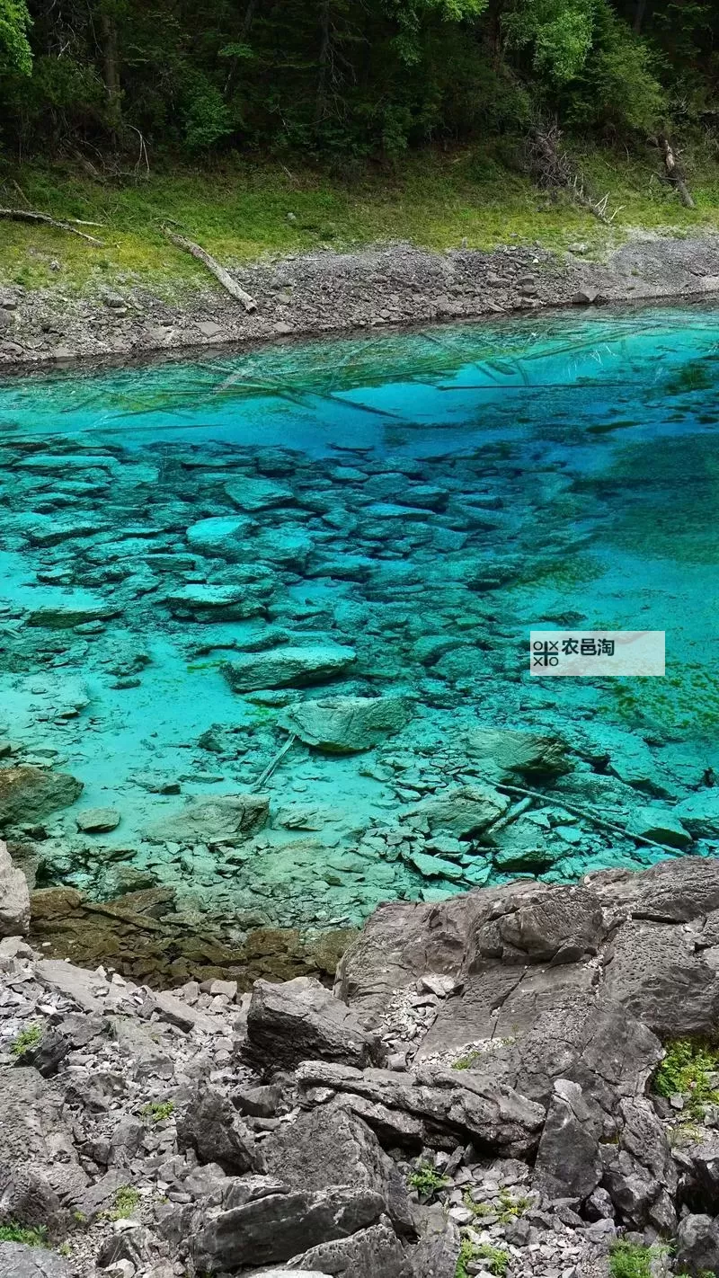 斗罗大陆鬼帝的武魂揭秘:终极力量的传说图1