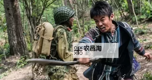 《最后的战士》分集剧情介绍:精彩内容全解析图1