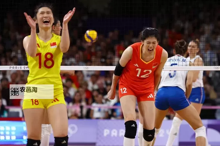 中国女排1-3加拿大：精彩对决展现坚韧精神图1