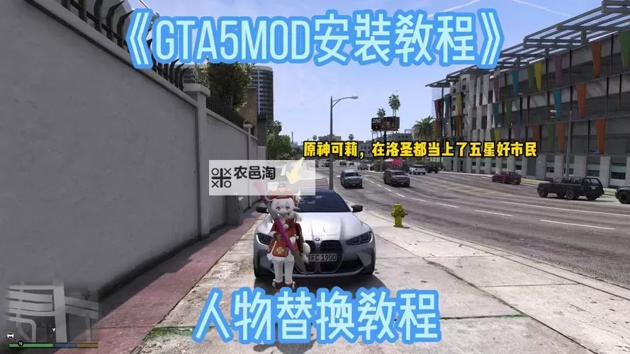 家园重制版 MOD安装教程 各种类型MOD安装方法说明图1