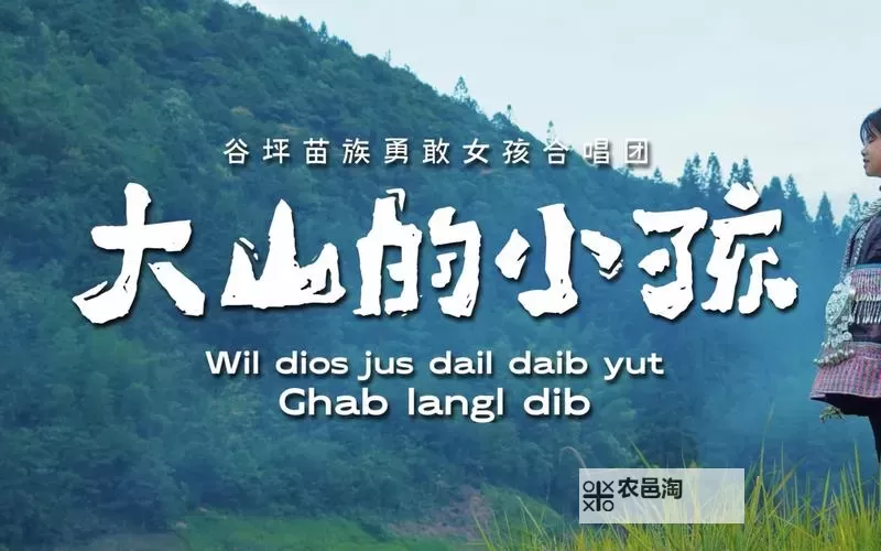 苗族MV免费观看高清版大全:最全合集推荐图1