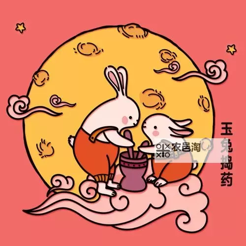 探索玉兔捣药相关系数在中医药研究中的应用与分析图1