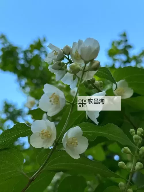 虐杀原形2修改教程:轻松刷超级兵技巧揭秘图1