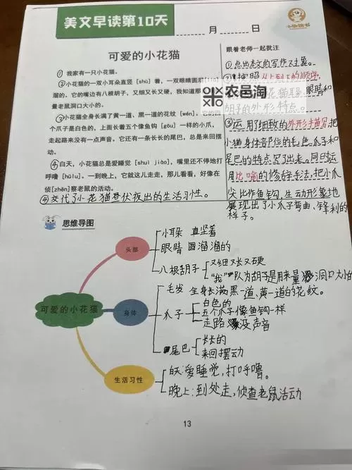 坐在紫到发黑的木棒上写作业:一个奇幻的学习冒险图1