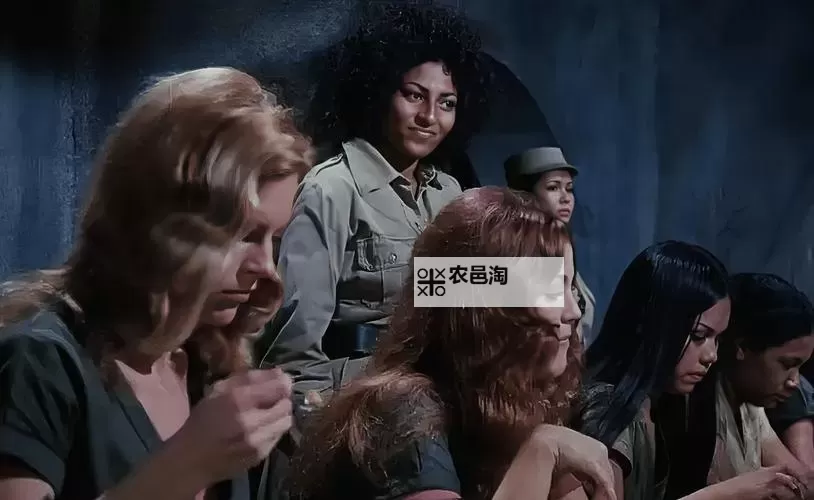 欧美一区一夜:跨国浪漫的难忘瞬间图1