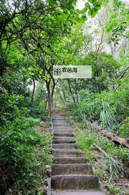 《拳击俱乐部》前中期赚钱及属性技巧介绍图2