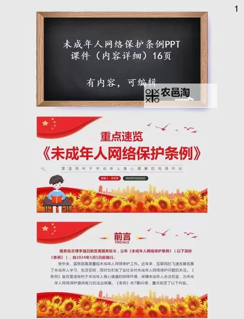 有成人网站吗:了解网络安全与隐私保护的关键问题图2